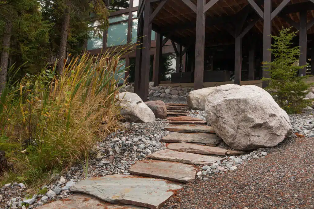 Pathway with rock features