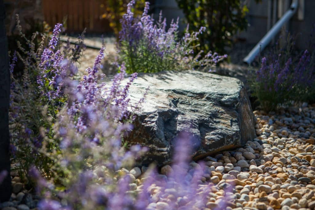 Close up of rock feature and purple flowers