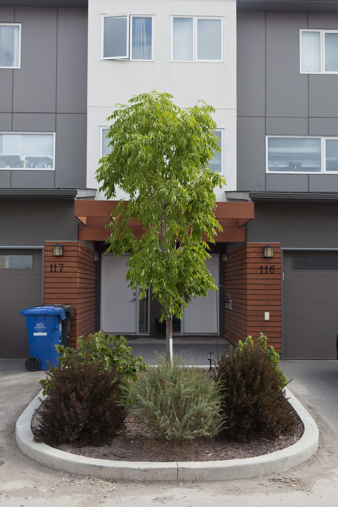 Modern minimalist landscaping, which includes one tree and a few bushes in a planters bed, in front of a sleek modern condo entrance.