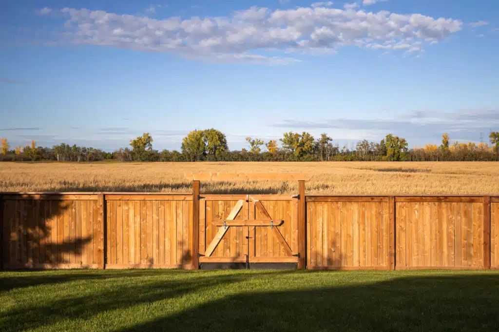 Large wooden fence overlooking a large golden field, with a horizon line of trees.