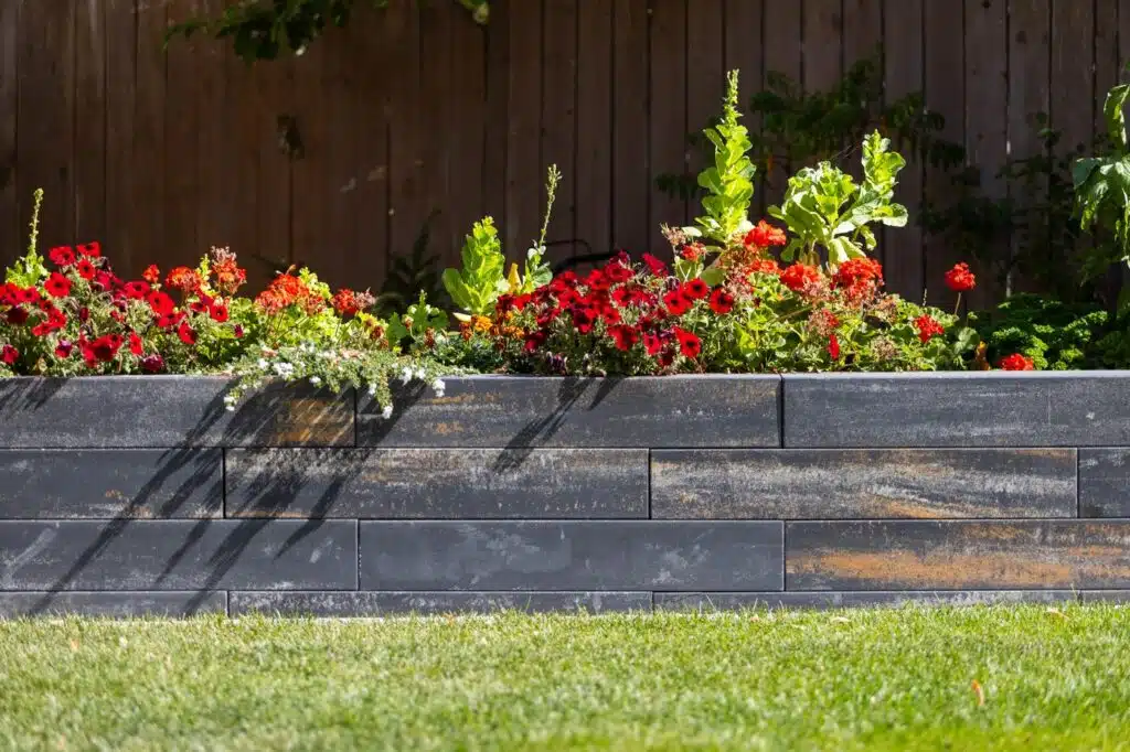 Raised stone garden bed with bright red and orange flowers and green foliage against a wooden fence.