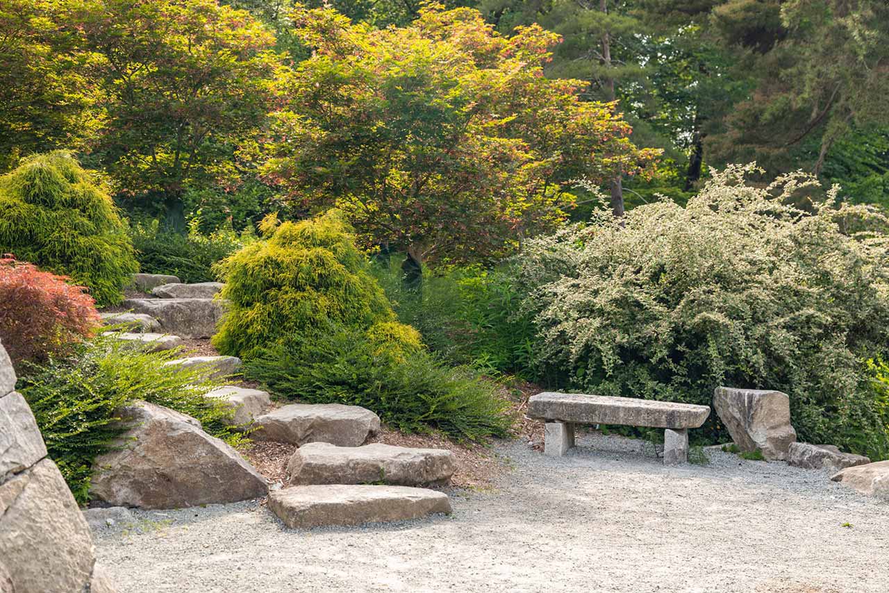 Landscaped garden with rock path