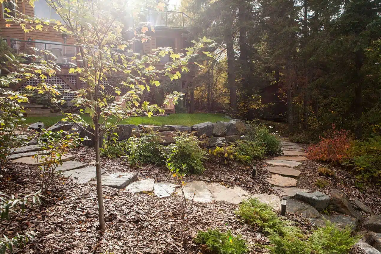 Natural stone pathway in sunny backyard