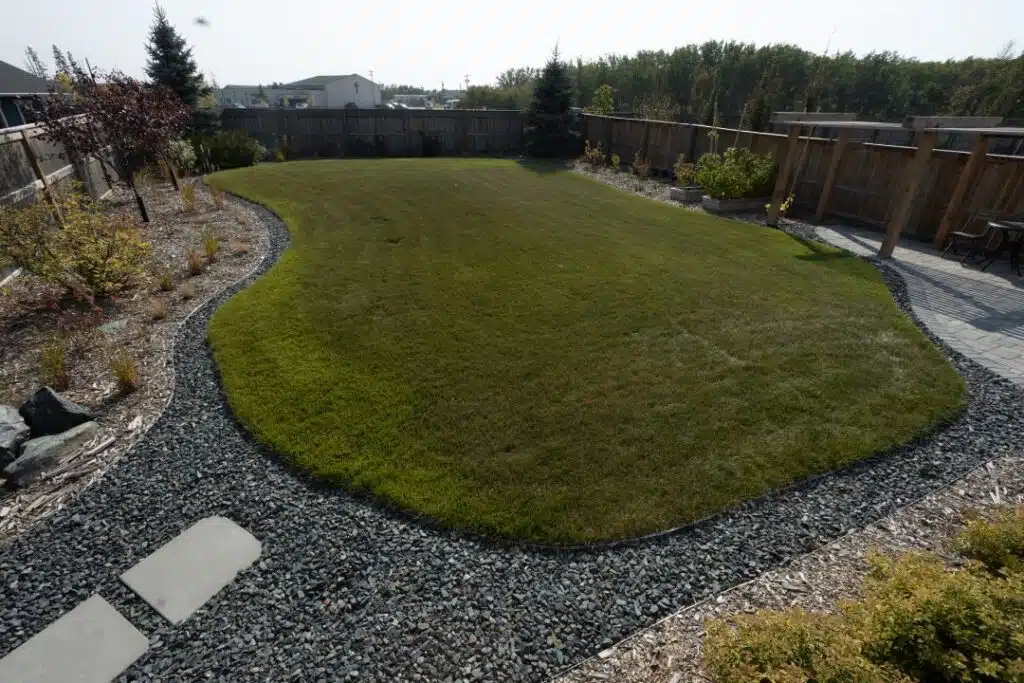 Big back yard with a perfect lawn