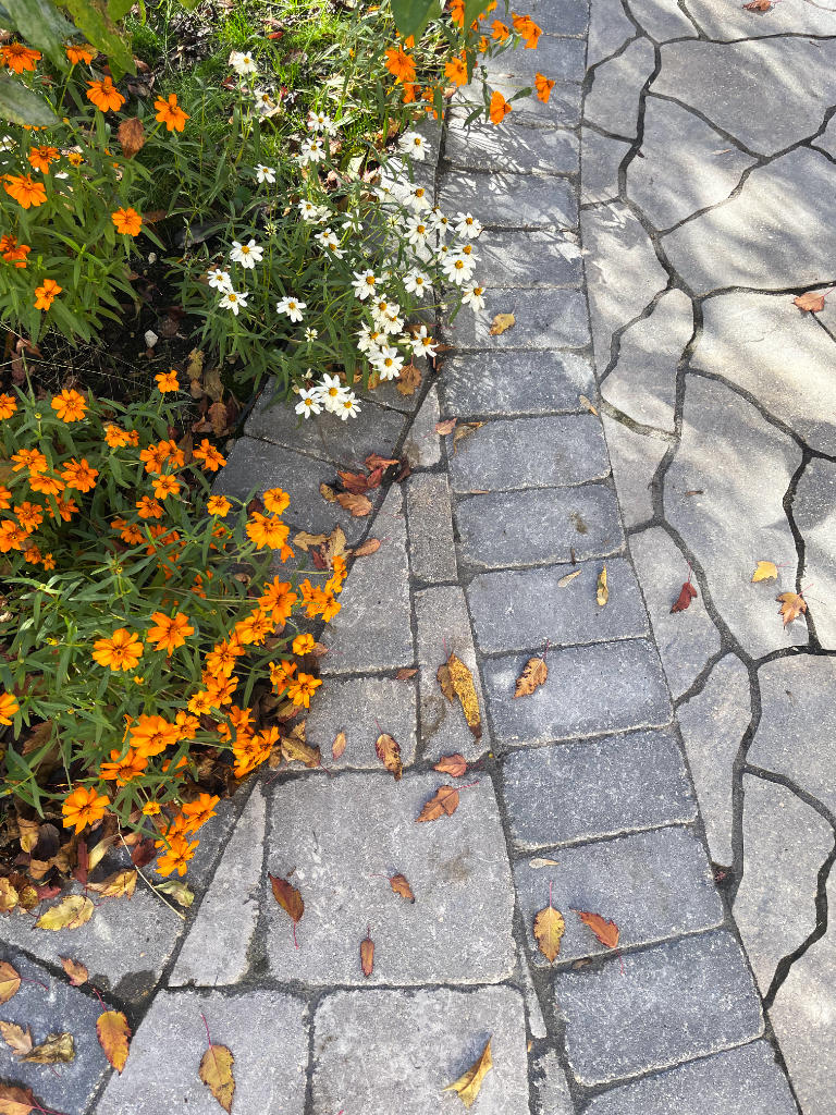 Detail of flower bed and brick patio.