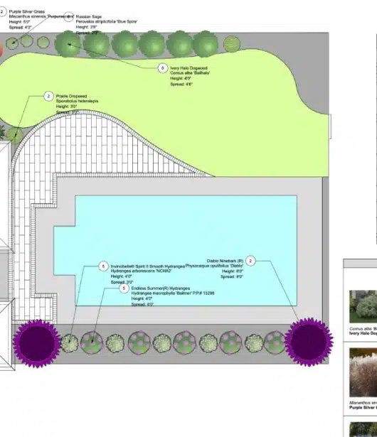 Draft design that had an existing pool.