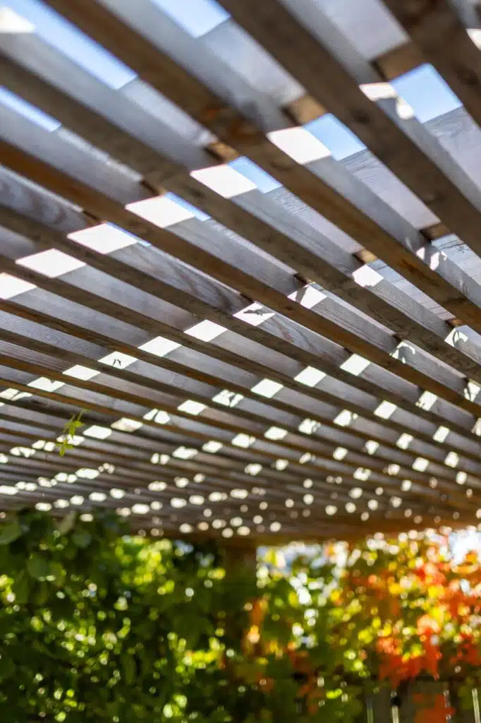 Wooden pergola roof with sunlight shining through slats and greenery below.
