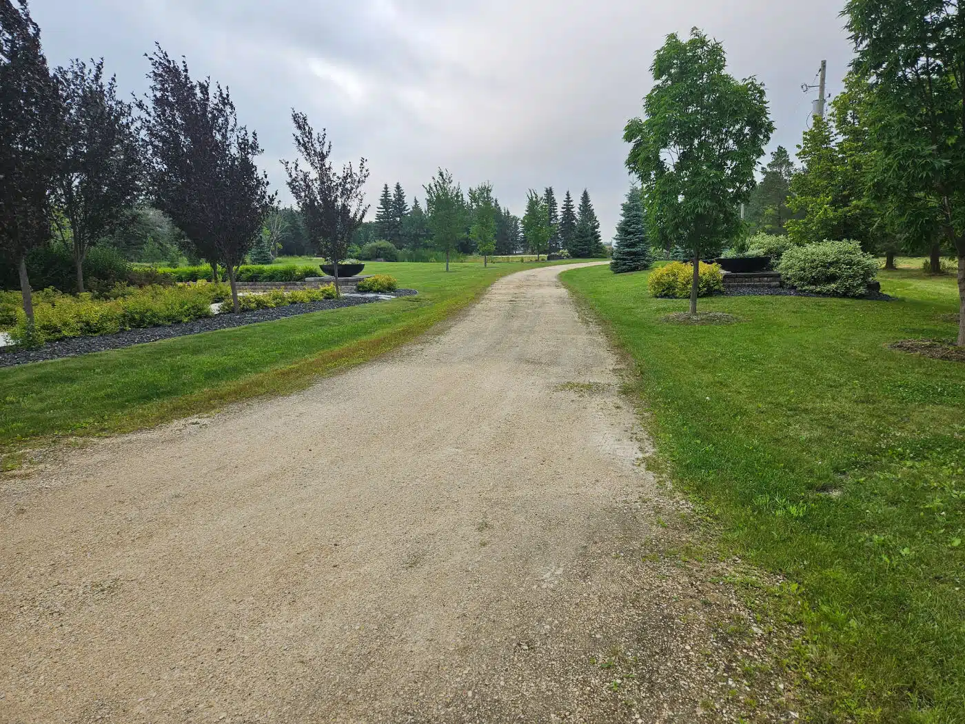 Gravel driveway curving through landscaped yard with trees and shrubs.