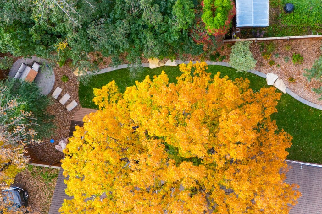 Aerial view of landscaped curved rock wall along planting beds and stone pathway.