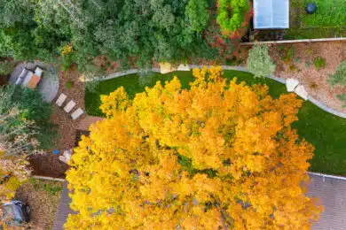 Aerial view of landscaped curved rock wall along planting beds and stone pathway.