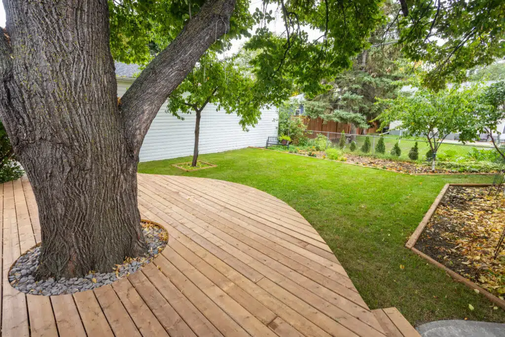 Wood deck built around a mature shade tree overlooking a landscaped backyard and garden beds