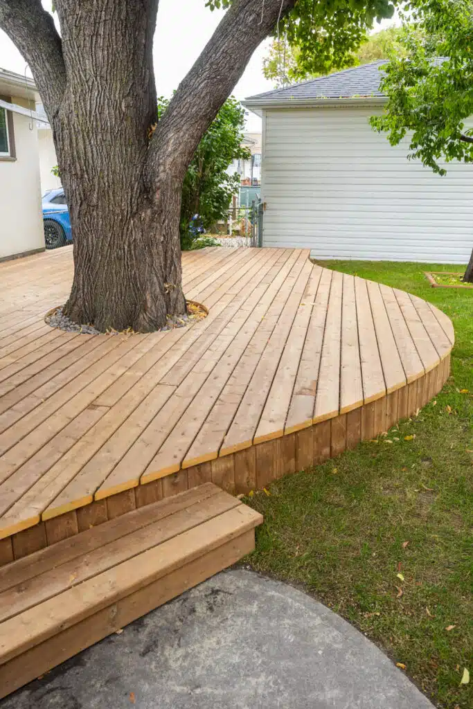Low-profile wood deck wrapping around a mature tree with curved edges and backyard steps