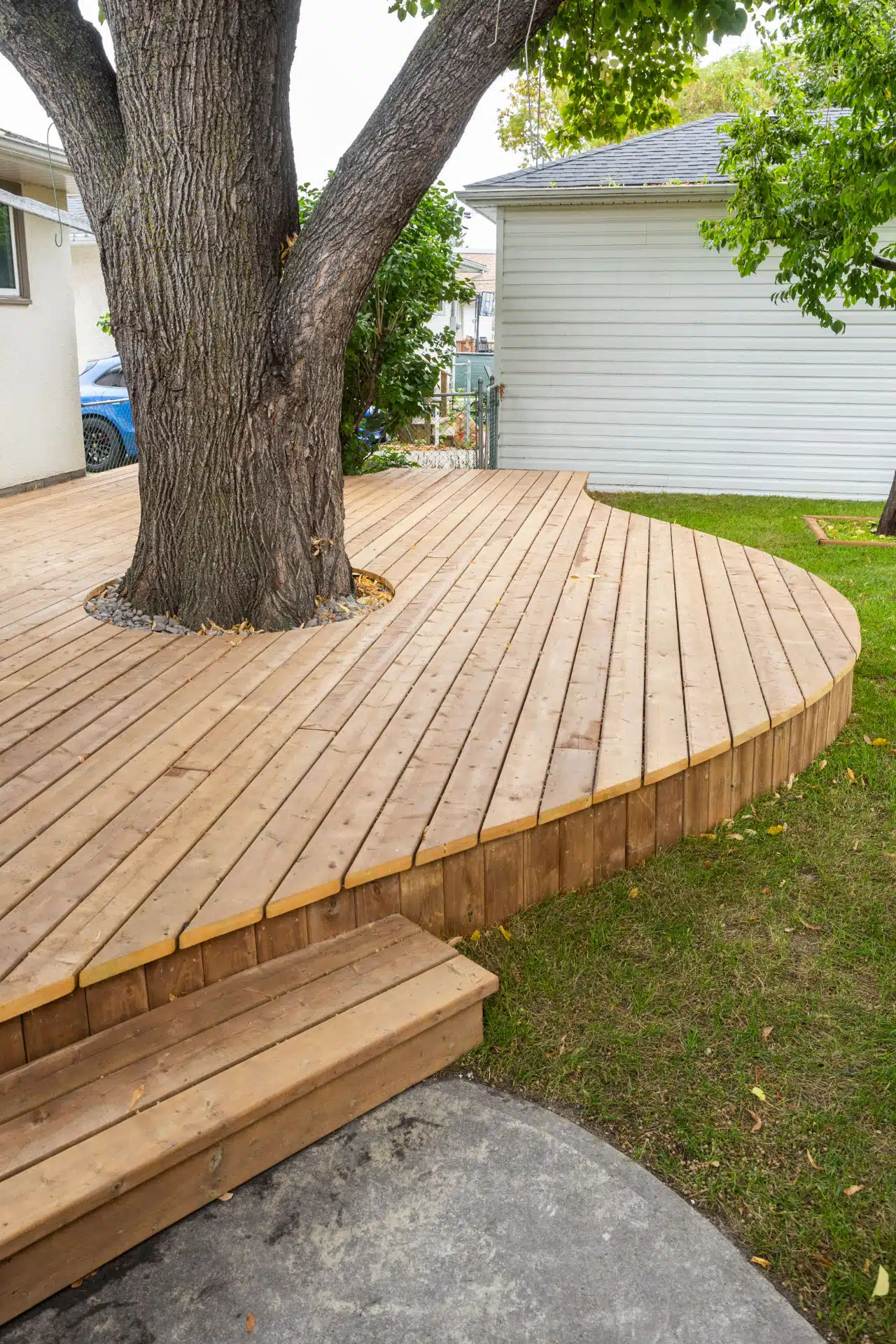 Low-profile wood deck wrapping around a mature tree with curved edges and backyard steps