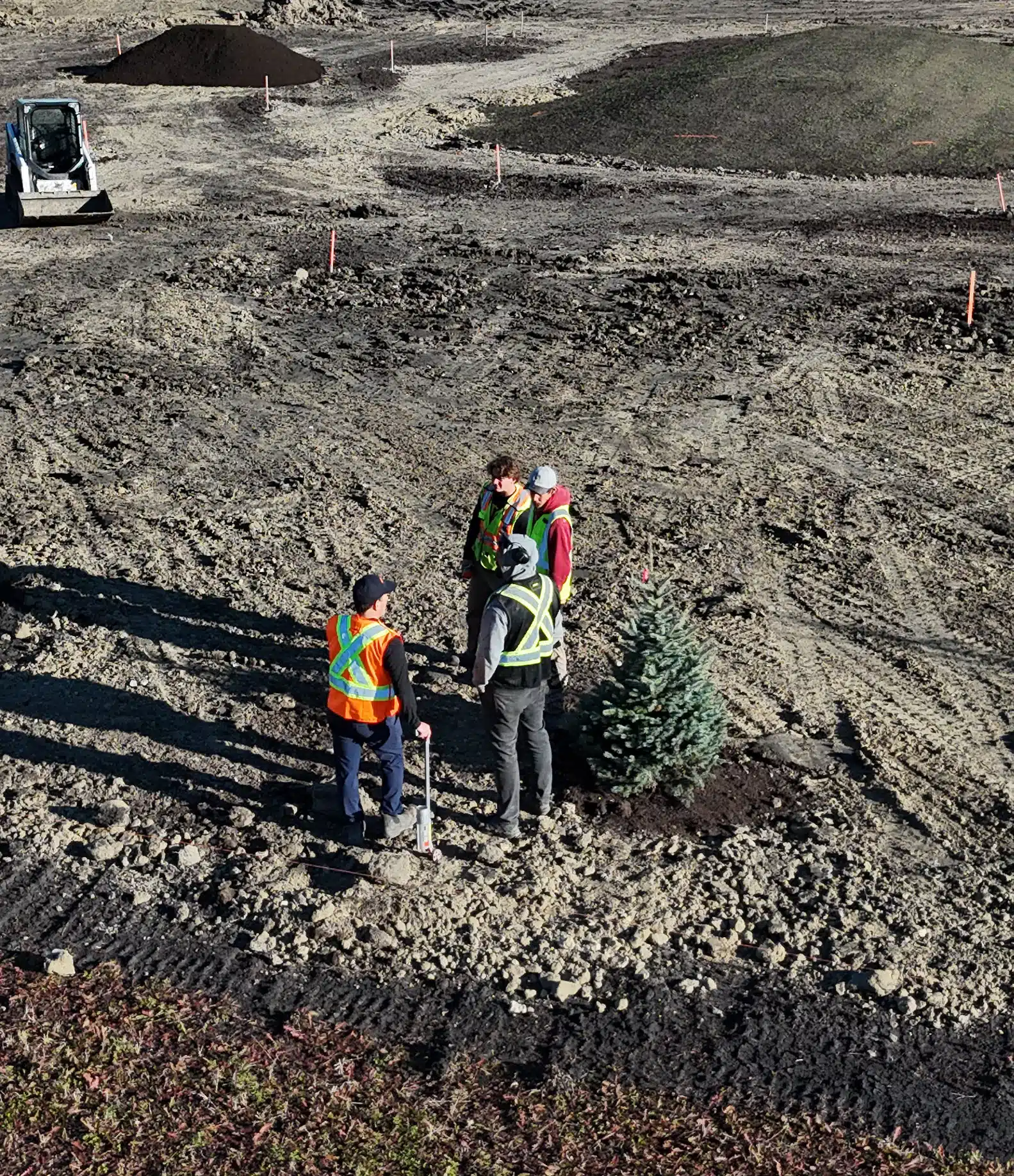 North Coral landscaping crew positioning a tree on a large Winnipeg-area residential property.